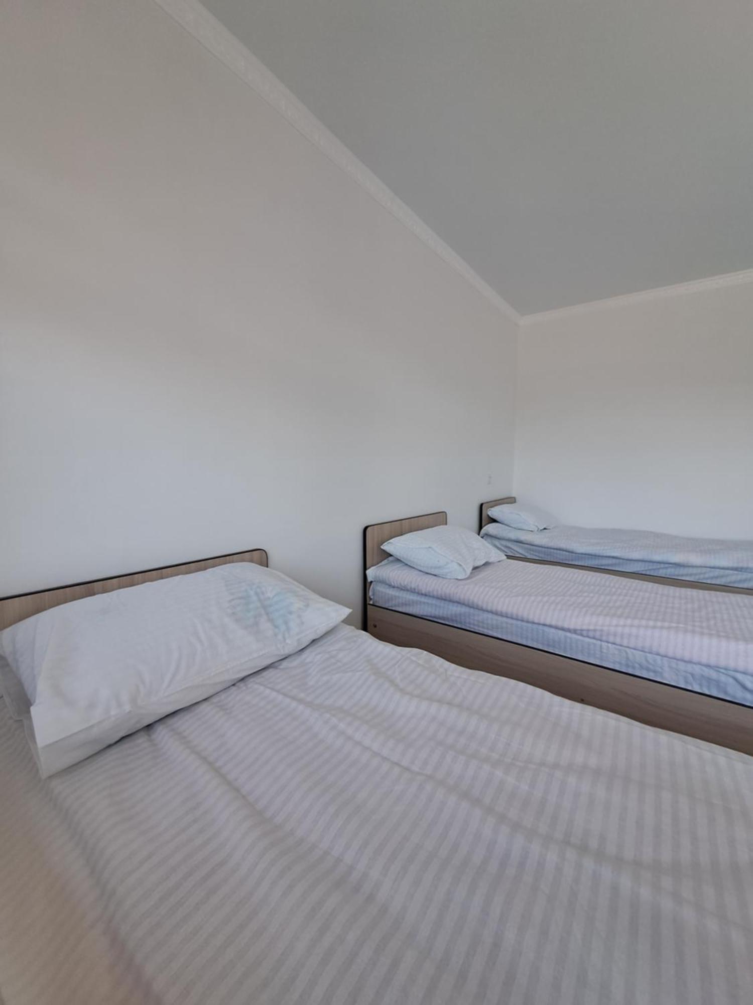"Ailun" Guest House Tong Kültér fotó